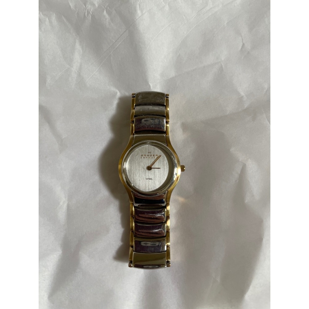 Skagen Denmark 256SGX Womens Two Tone Watch Silver Gold Stainless Steel Quartz